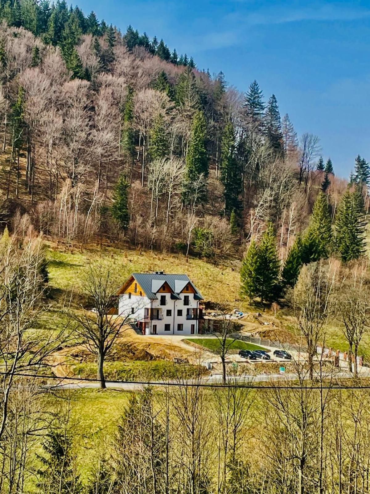 Gorska Cisza - Duzy, Komfortowy, Wyjatkowy Apartament Stronie Śląskie Exterior foto