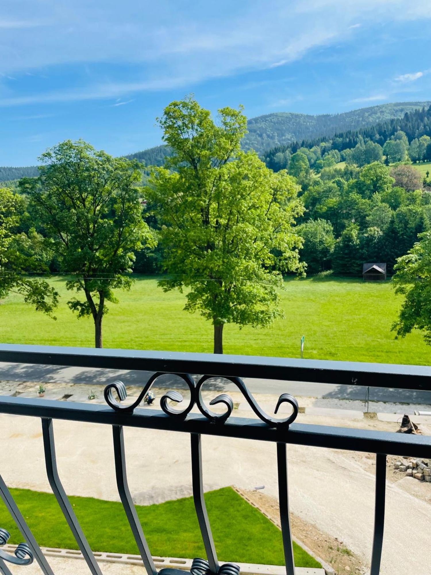 Gorska Cisza - Duzy, Komfortowy, Wyjatkowy Apartament Stronie Śląskie Exterior foto